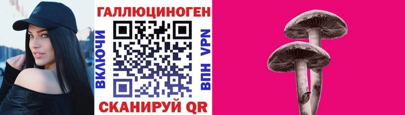 Псилоцибиновые грибы Psilocybine cubensis Малгобек